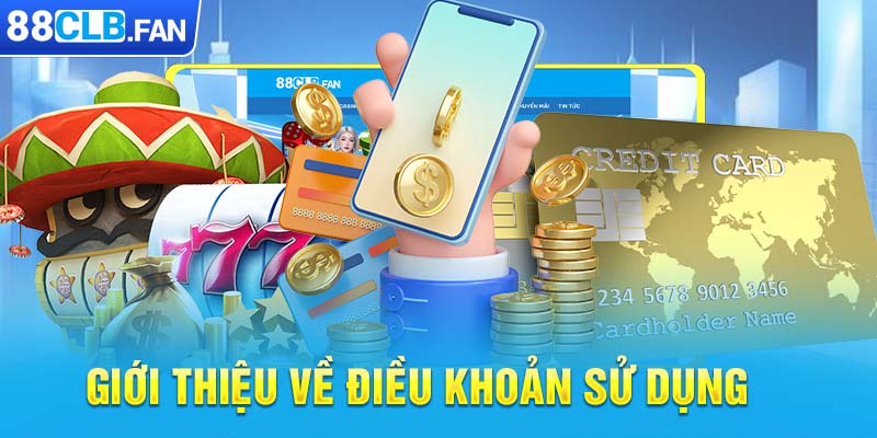 Giới thiệu về điều khoản sử dụng 