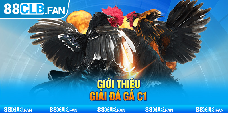 Giới thiệu giải đá gà C1