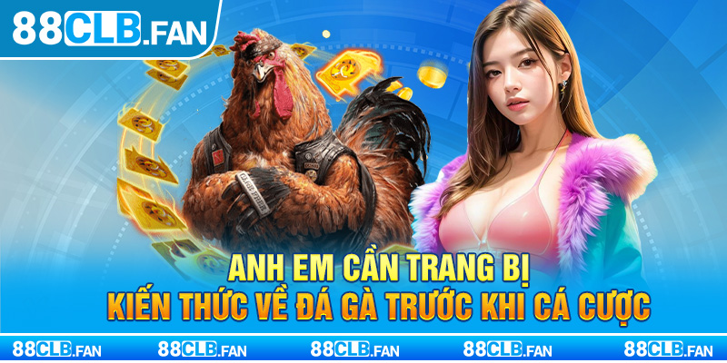 Anh em cần trang bị kiến thức về đá gà trước khi cá cược 