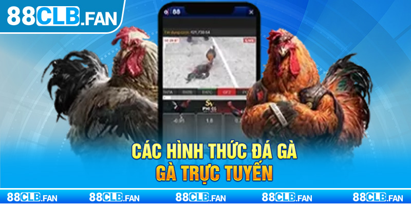 Các hình thức đá gà trực tuyến 